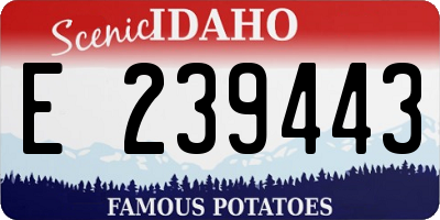 ID license plate E239443