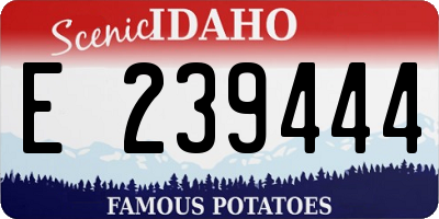 ID license plate E239444