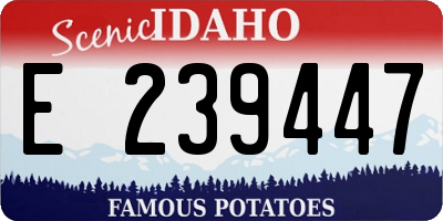 ID license plate E239447