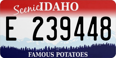 ID license plate E239448