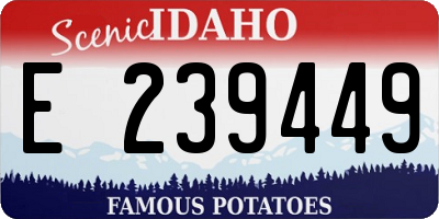 ID license plate E239449