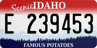 ID license plate E239453
