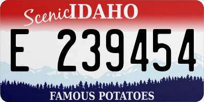 ID license plate E239454
