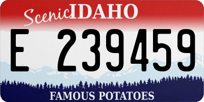 ID license plate E239459