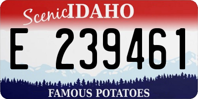 ID license plate E239461