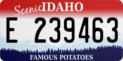 ID license plate E239463