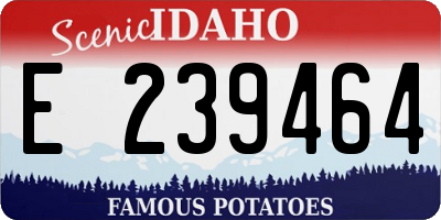 ID license plate E239464