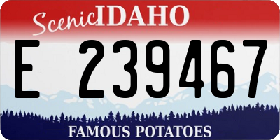 ID license plate E239467