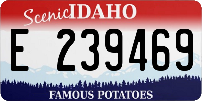 ID license plate E239469