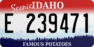 ID license plate E239471