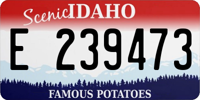 ID license plate E239473