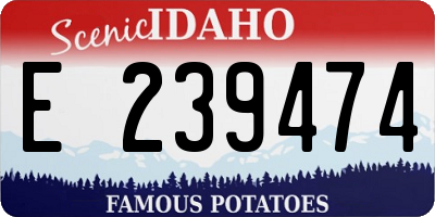 ID license plate E239474