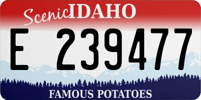 ID license plate E239477