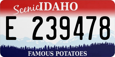 ID license plate E239478