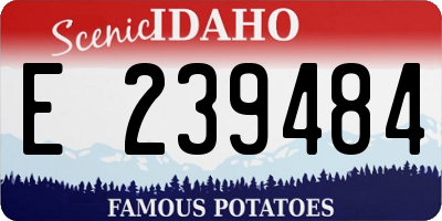 ID license plate E239484