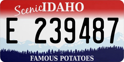 ID license plate E239487