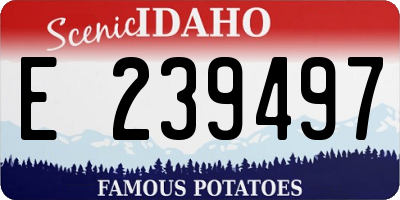 ID license plate E239497