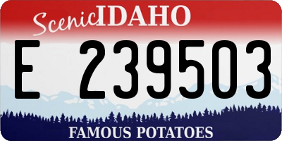 ID license plate E239503