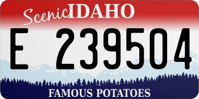 ID license plate E239504