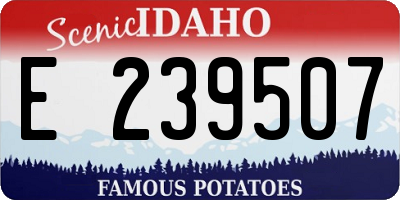 ID license plate E239507
