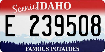 ID license plate E239508