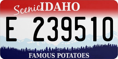 ID license plate E239510
