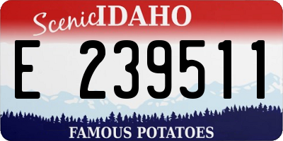 ID license plate E239511