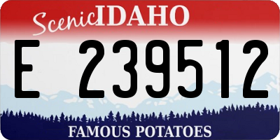 ID license plate E239512