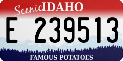 ID license plate E239513