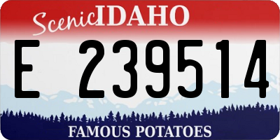 ID license plate E239514