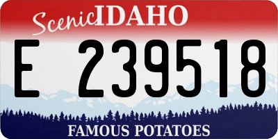 ID license plate E239518