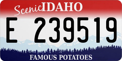 ID license plate E239519