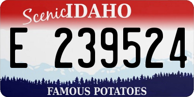 ID license plate E239524