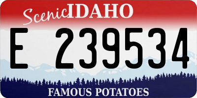 ID license plate E239534