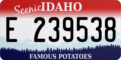 ID license plate E239538