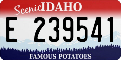 ID license plate E239541