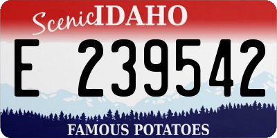 ID license plate E239542