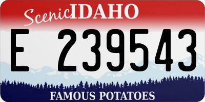 ID license plate E239543
