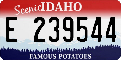 ID license plate E239544