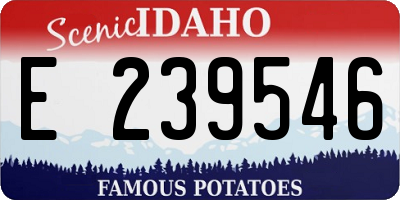 ID license plate E239546