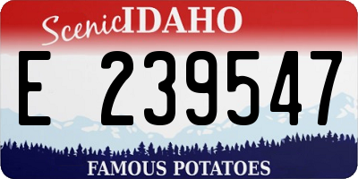 ID license plate E239547