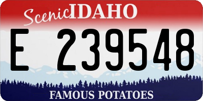 ID license plate E239548