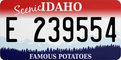 ID license plate E239554