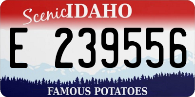 ID license plate E239556