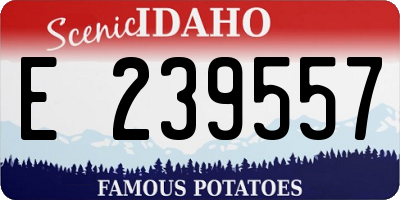 ID license plate E239557