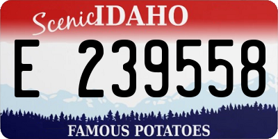 ID license plate E239558