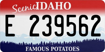 ID license plate E239562