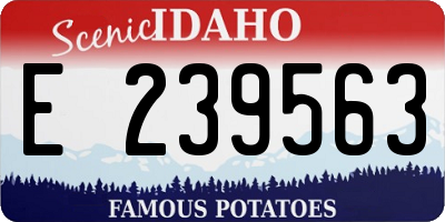 ID license plate E239563