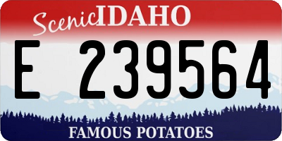 ID license plate E239564