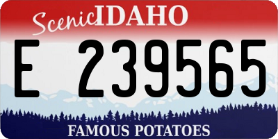 ID license plate E239565